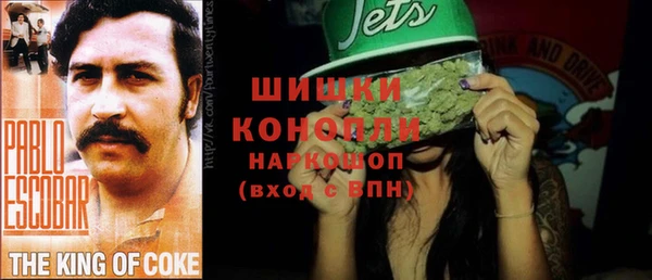 гидра Пестово