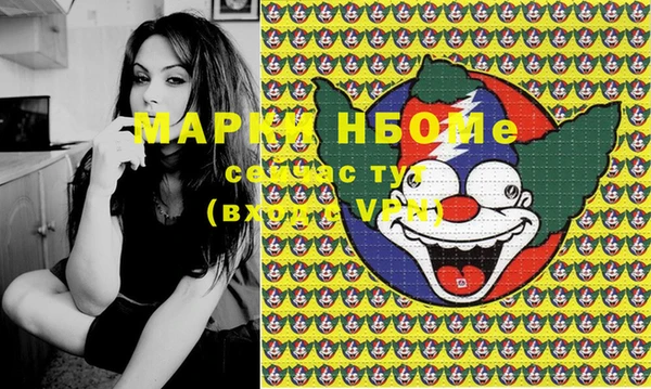 гидра Пестово