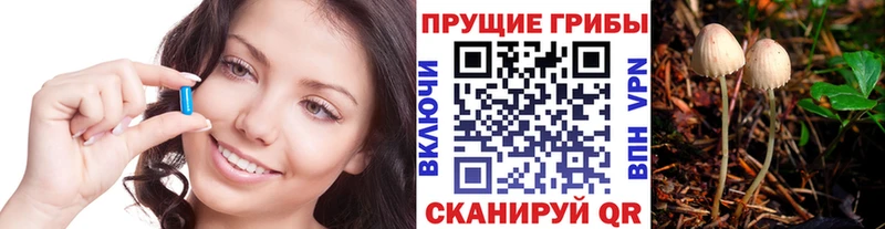 Галлюциногенные грибы мицелий  Купить где  Махачкала 